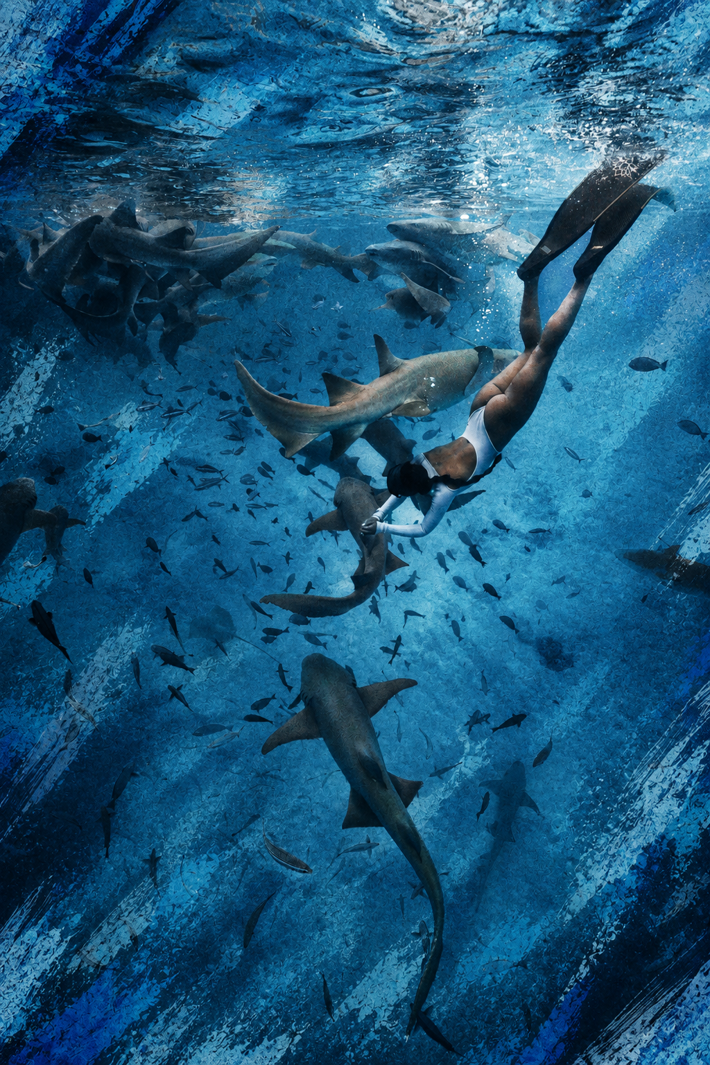 Swim with Sharks & Turtles